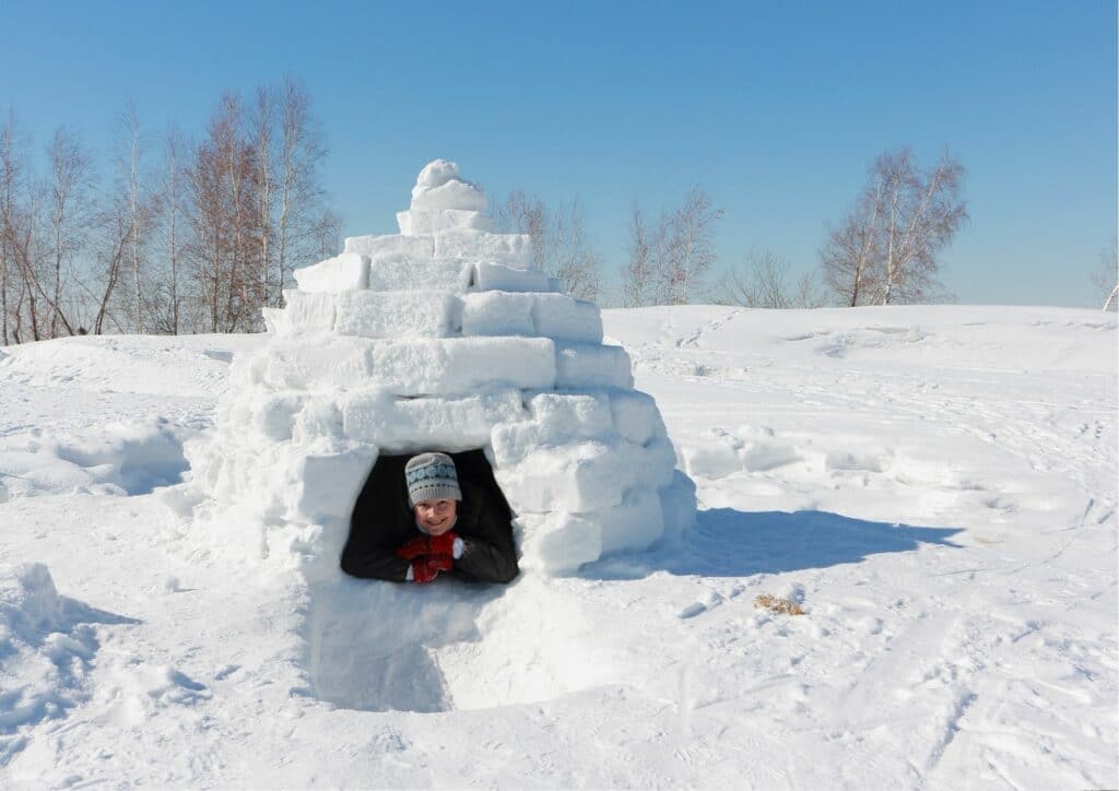 VILLAGE IGLOO