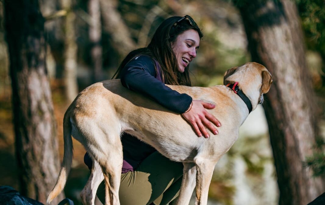 Que faire avec son chien à la montagne ?
