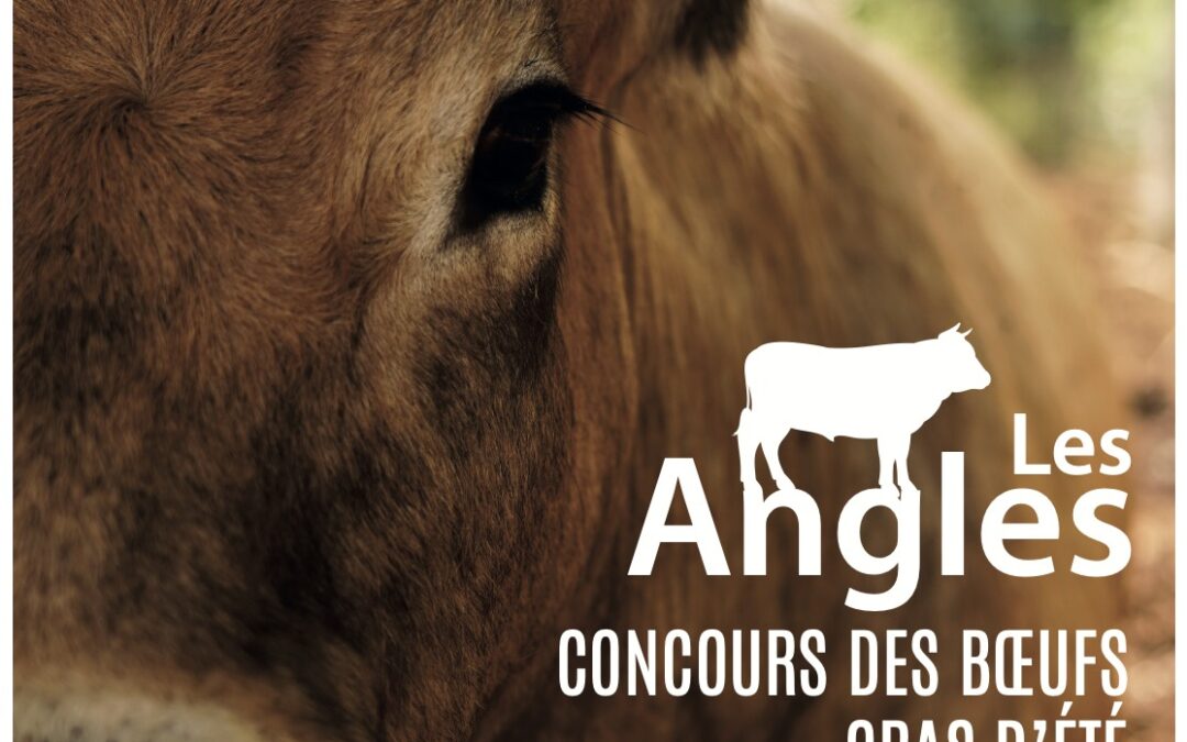 FOIRE AUX BESTIAUX