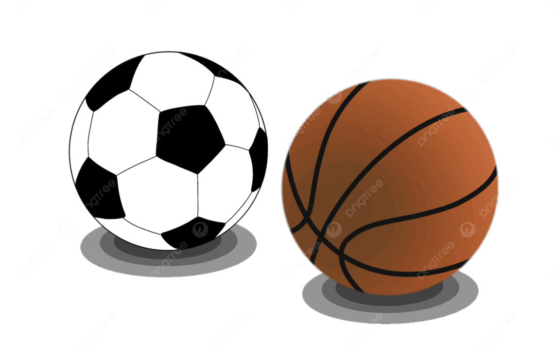 TOURNOI DE SPORTS CO HYBRIDE