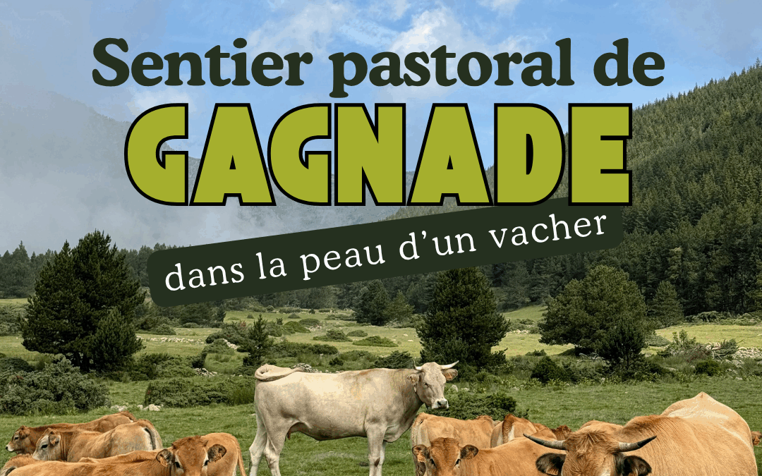 Sentier pastoral de Gagnade : une rando au rythme des troupeaux