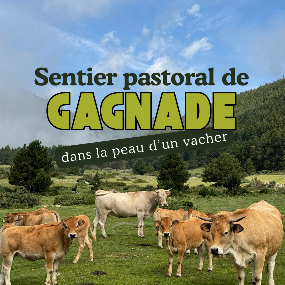 gagnade blog