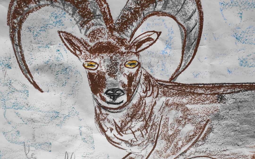 ATELIER FAUNE ET FLORE