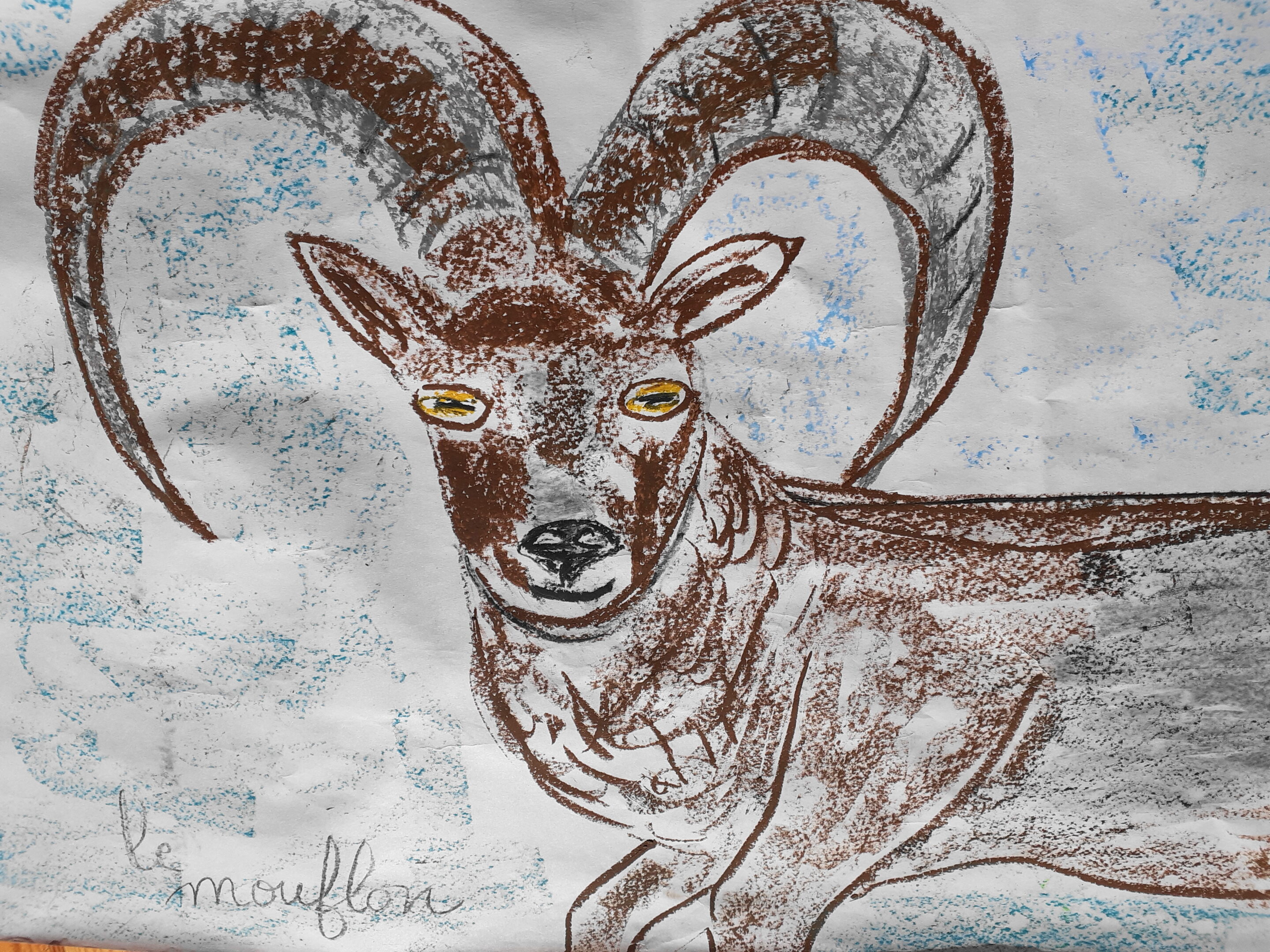 dessin mouflon scaled