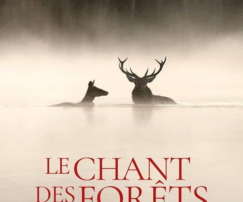 CINEMA “LE CHANT DES FORETS”