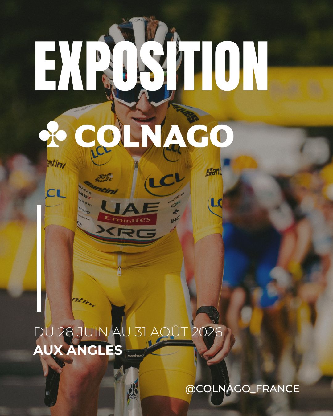 affiche-expo-velo
