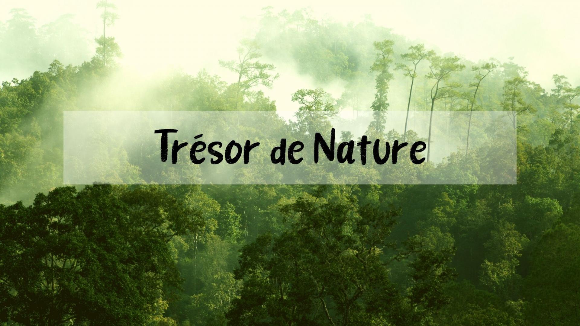 tresor-nature-2