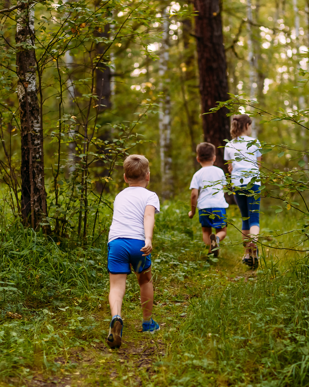 Visite de la forêt de la Matte